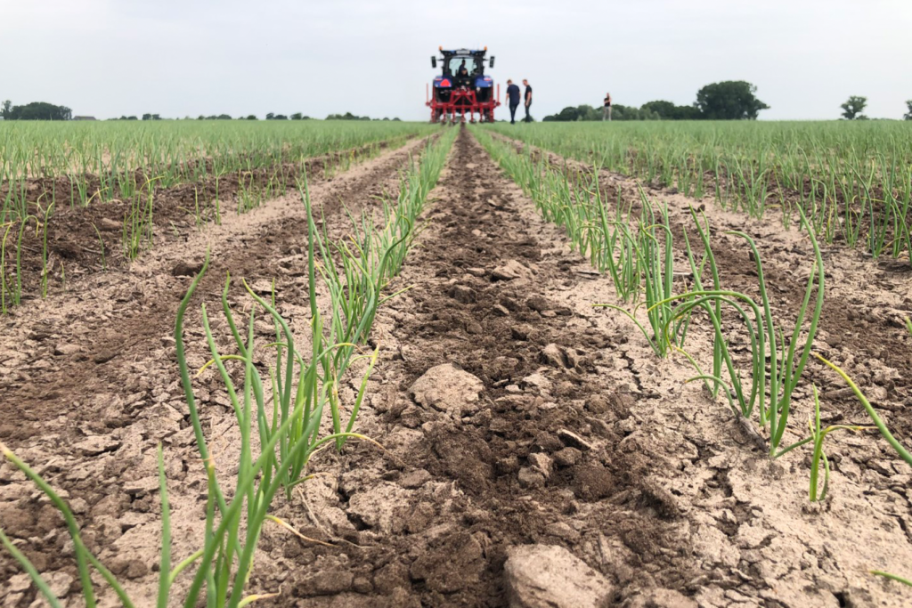 schoffelmachine Steketee